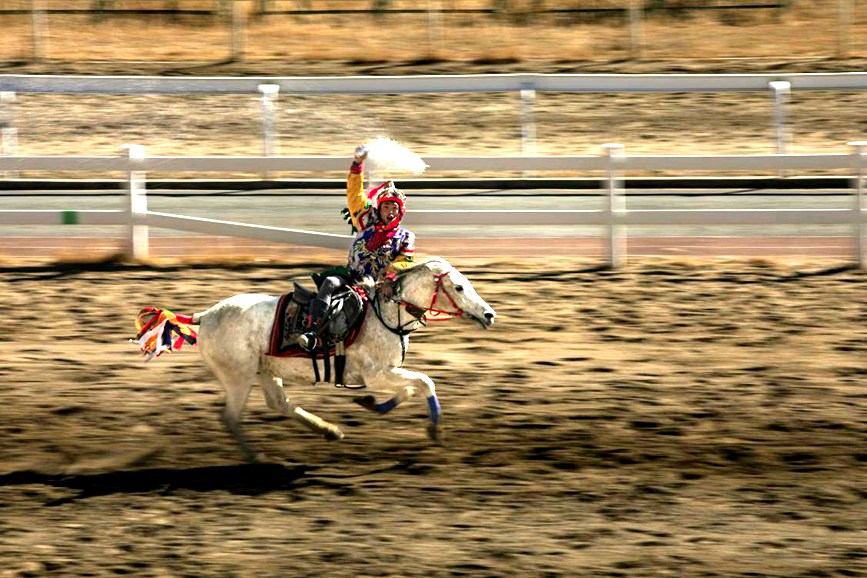藏歷新年，精彩的馬術(shù)表演。張靜攝