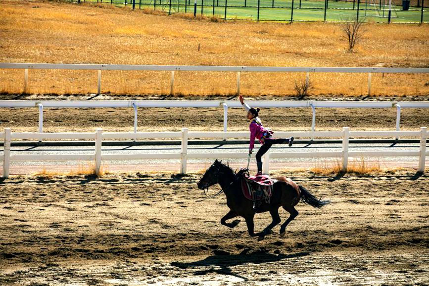 藏歷新年，精彩的馬術(shù)表演。張靜攝