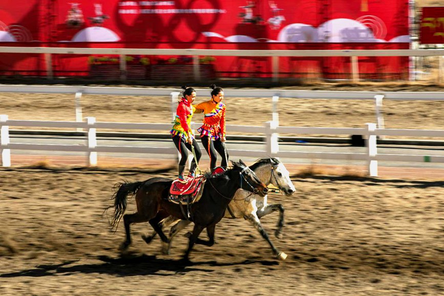 藏歷新年，精彩的馬術(shù)表演。張靜攝