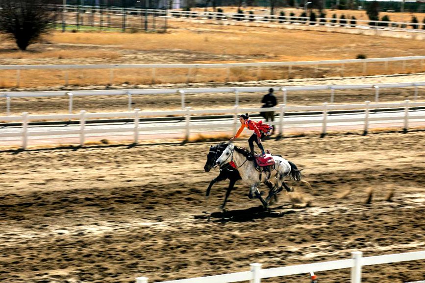 藏歷新年，精彩的馬術(shù)表演。張靜攝