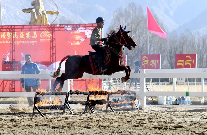 藏歷新年，精彩的馬術(shù)表演。潘多攝