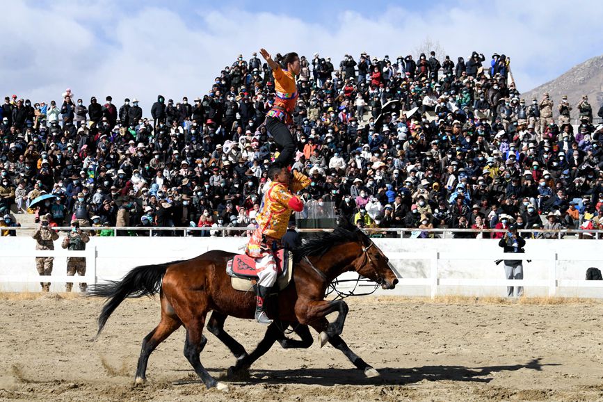 藏歷新年，精彩的馬術(shù)表演。潘多攝