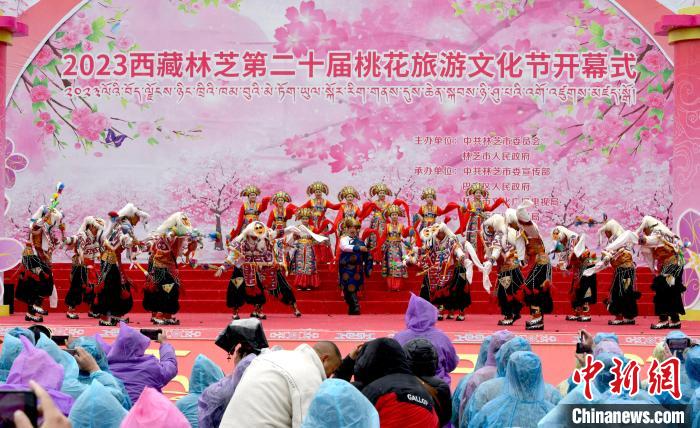 3月28日，西藏林芝第二十屆桃花旅游文化節(jié)開幕式上的文藝表演?！±盍?攝