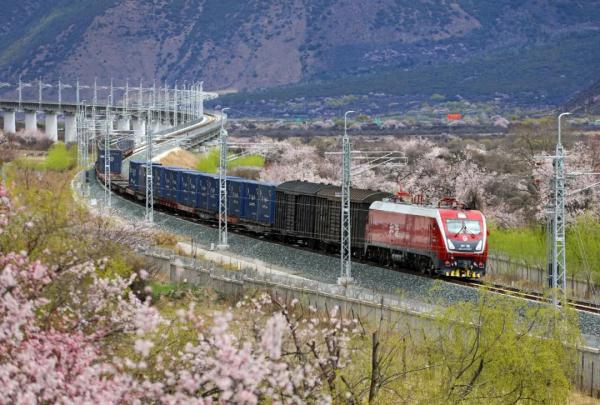 人間桃花源！林芝桃花有多絕？