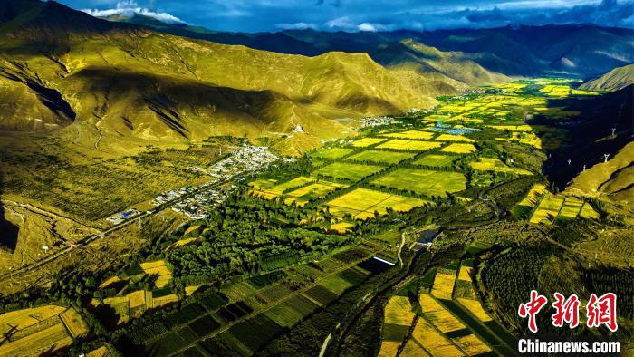 圖為山南雍布拉康附近農(nóng)田?！埼?攝