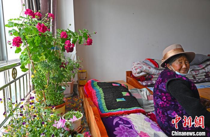 圖為曲松縣特困人員集中供養(yǎng)中心老人德吉卓嘎與她的花?！≮w朗 攝