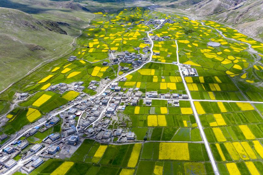 航拍道布龍村，依山傍水，阡陌縱橫。