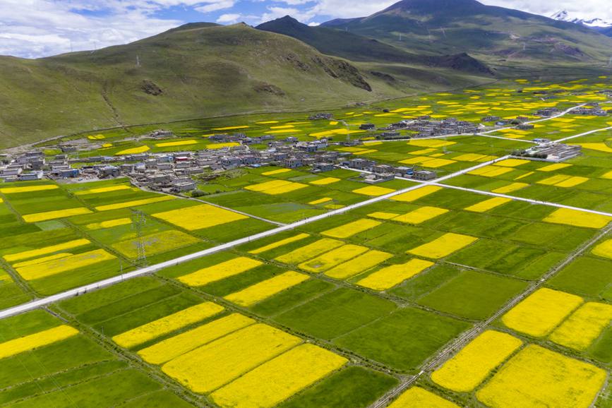 航拍道布龍村，依山傍水，阡陌縱橫。