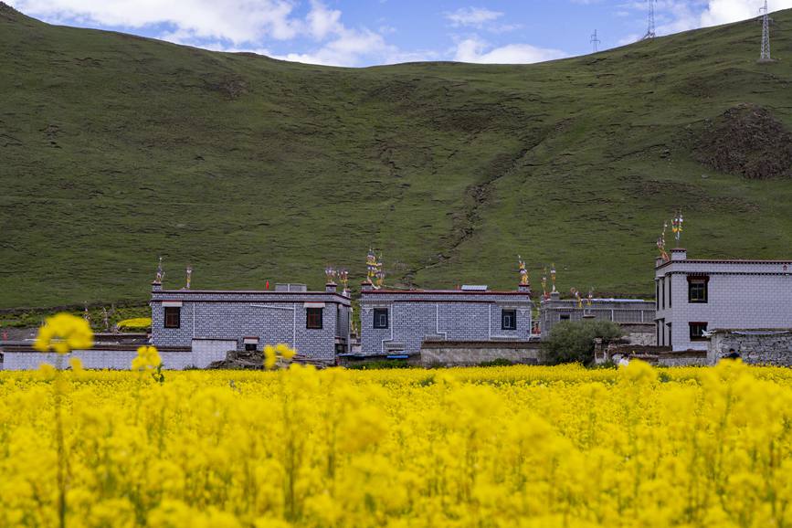 環(huán)境優(yōu)美的道布龍村一角。