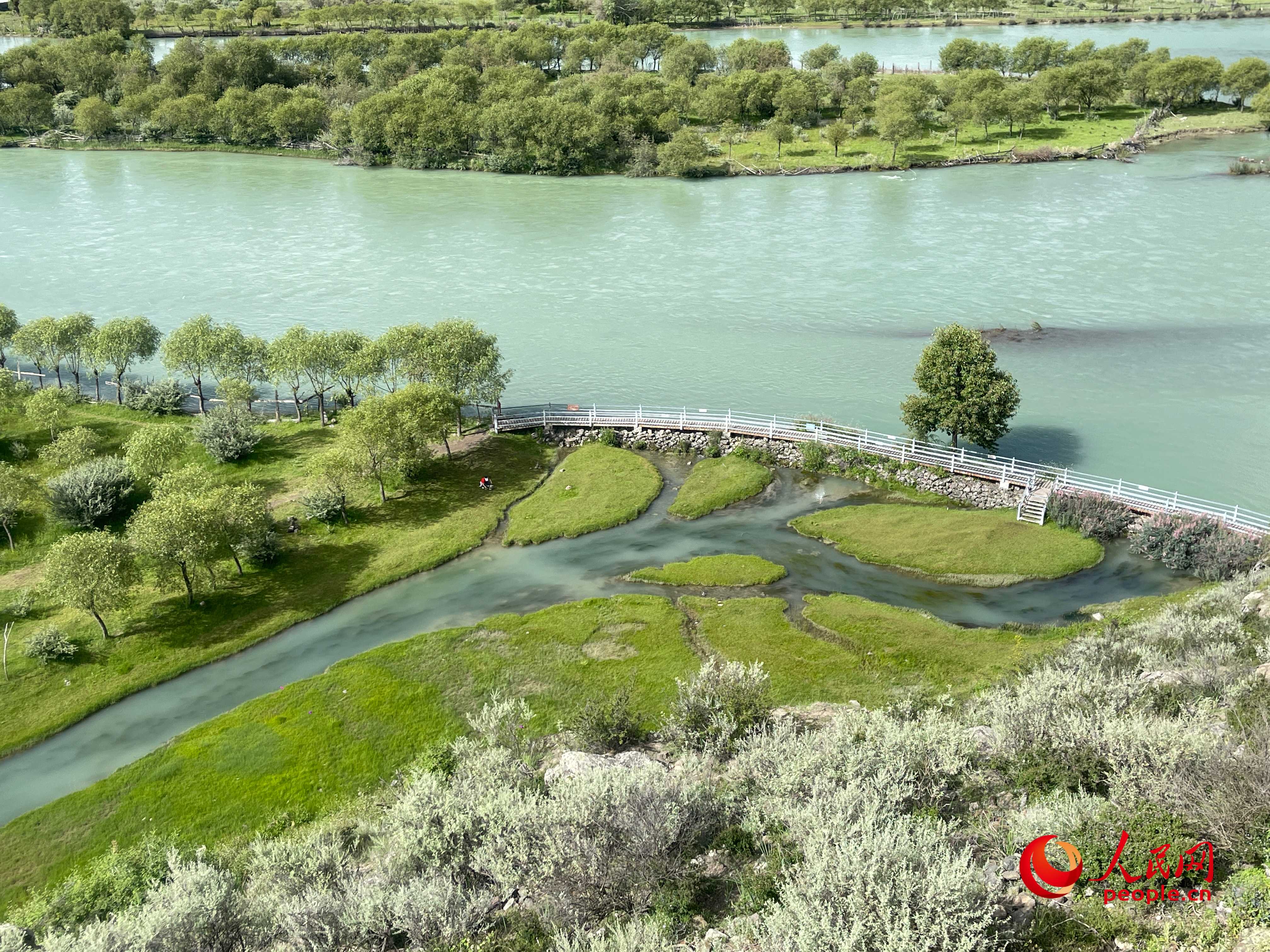 夏日的雅尼國家濕地公園生機(jī)盎然，如詩如畫。人民網(wǎng) 周靜圓攝