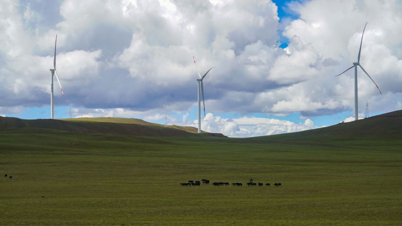 西藏措美哲古風(fēng)電場首批3.6兆瓦風(fēng)電機(jī)組并網(wǎng)發(fā)電。受訪者供圖