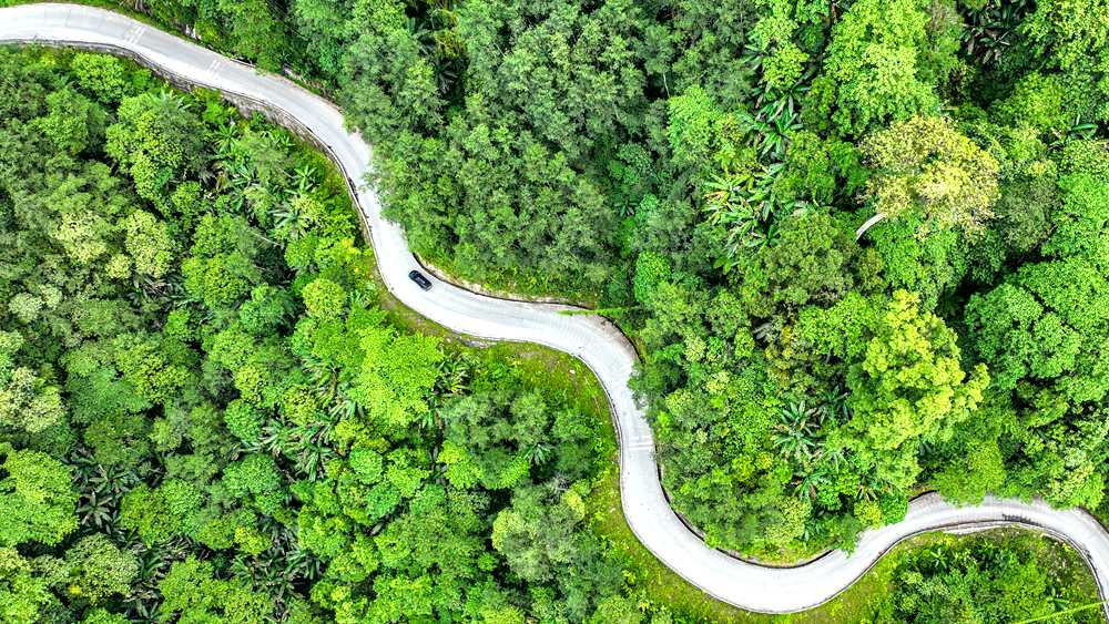 穿行于綠色間，生態(tài)優(yōu)良。張澤坤攝