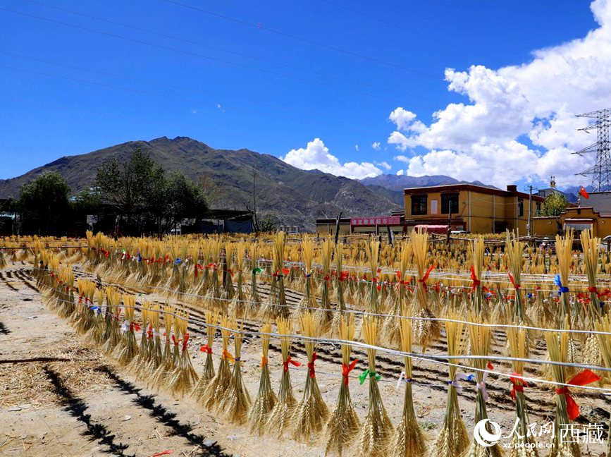 幸福生活曬出來。人民網(wǎng) 李海霞攝