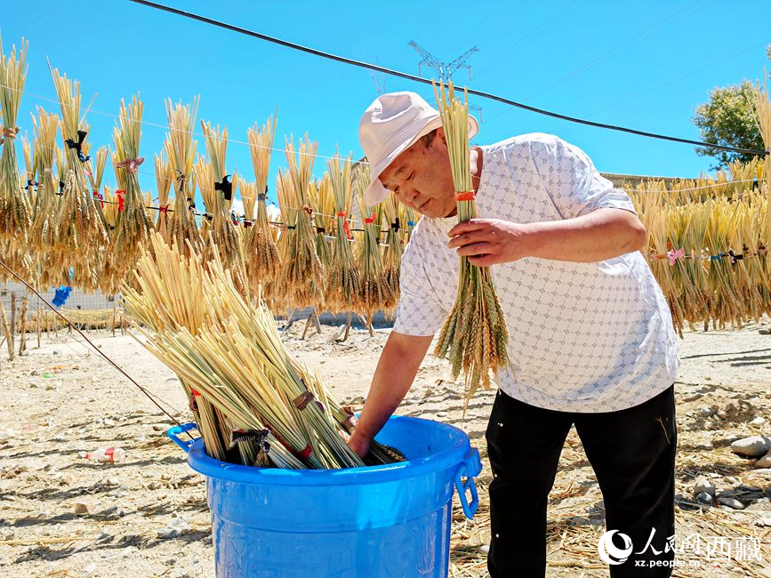 幸福生活曬出來。人民網(wǎng) 李海霞攝