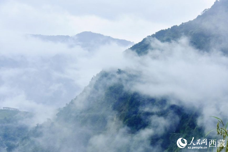 秋日里的墨脫云海。人民網(wǎng) 李海霞攝