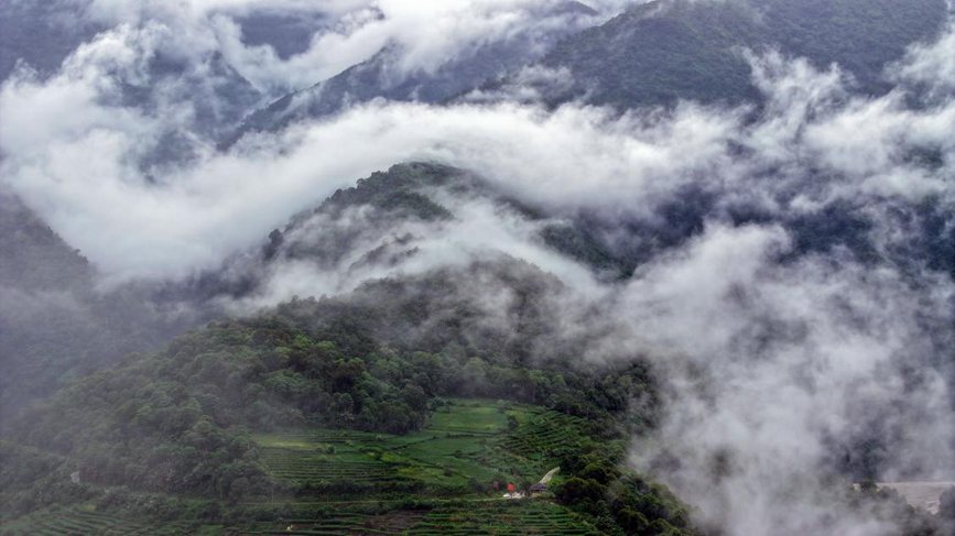 秋日里的墨脫云海。張澤坤攝