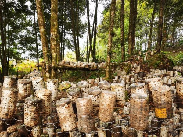 幾代建設(shè)者，歷經(jīng)半個(gè)多世紀(jì)完成！這是一條怎樣的公路？