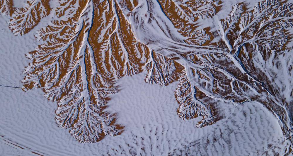 栩栩如生的枝干。邊巴多吉攝