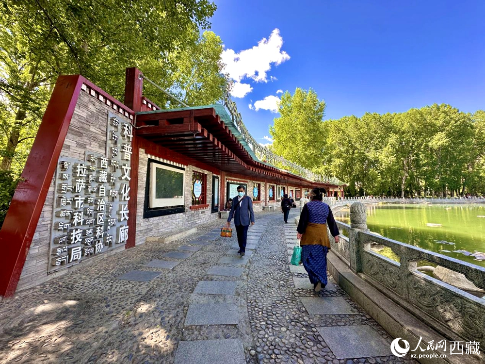 公園內(nèi)的科普文化長(zhǎng)廊。