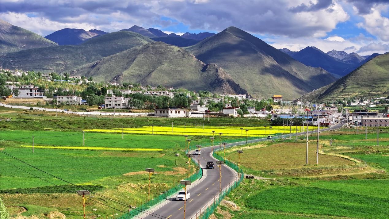 油菜花開“金”滿地。墨竹工卡縣委宣傳部 洛克攝