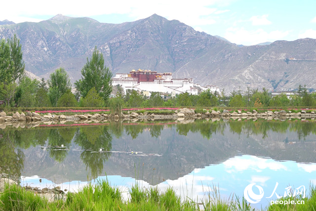 雄偉的布達拉宮與綠意蔥蘢的南山隔河相望。人民網(wǎng)記者 劉凡攝