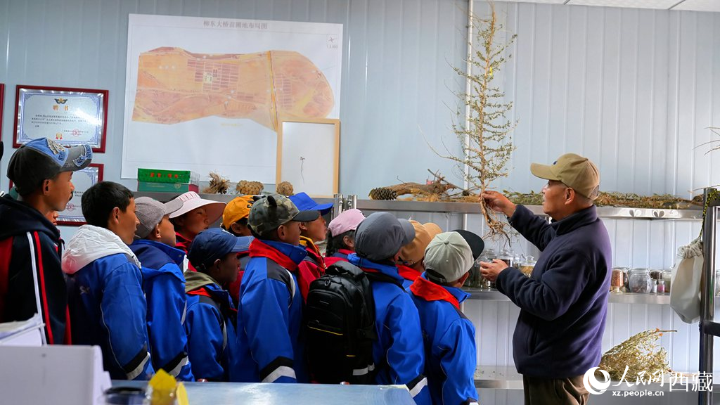 西藏定日：思政課“搬”進育苗基地【3】