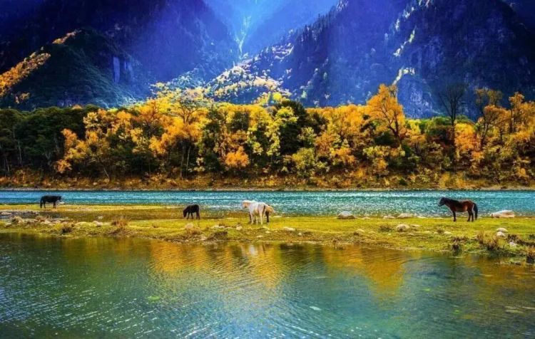 懂西藏的人，一定不會錯過林芝的秋天