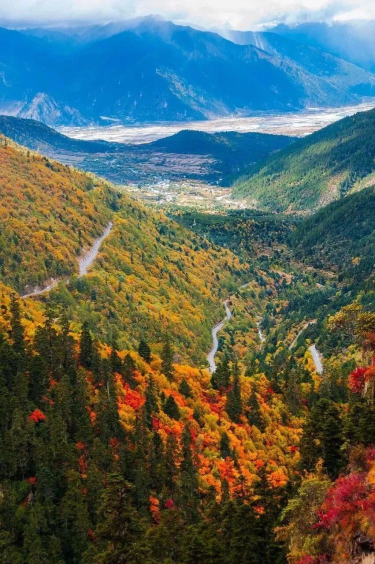 懂西藏的人，一定不會錯過林芝的秋天