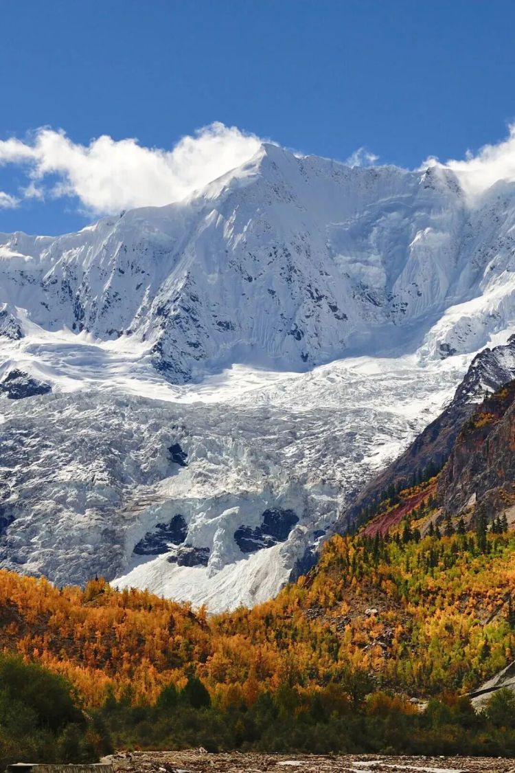 懂西藏的人，一定不會錯過林芝的秋天