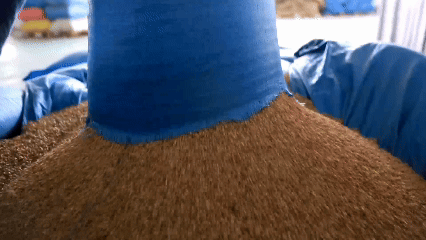 青稞“蛻變”，牦?！俺鋈Α保】次鞑剞r(nóng)牧民的“十四五”豐收答卷