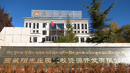 青稞“蛻變”，牦?！俺鋈Α保】次鞑剞r(nóng)牧民的“十四五”豐收答卷