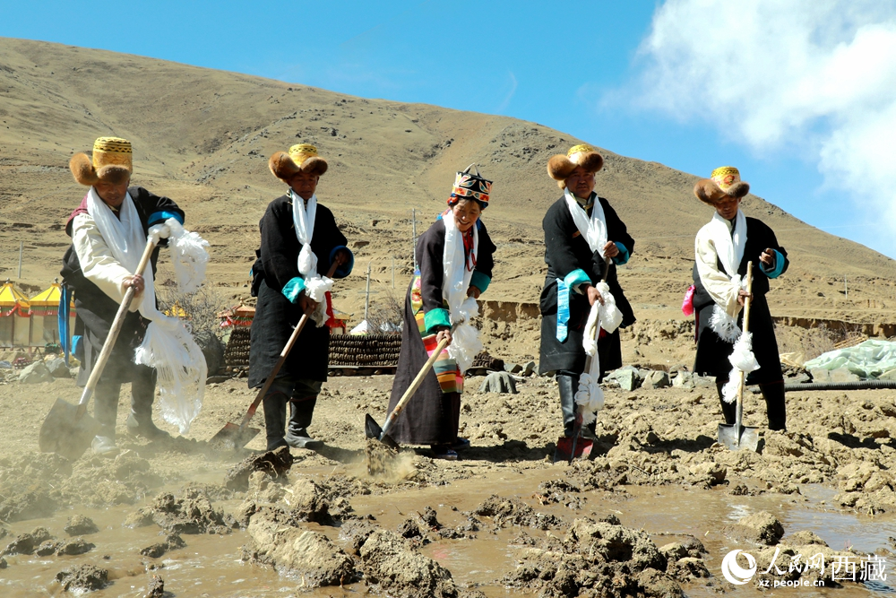 身著傳統(tǒng)服飾的拉東村村民手持鐵鍬疏通水道、引水灌溉，渠水奔涌入田，開啟春耕生產(chǎn)。人民網(wǎng)記者 吳雨仁攝