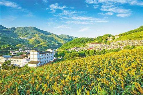 【理上網(wǎng)來o輝煌十九大】鄉(xiāng)村振興戰(zhàn)略：更綜合、全面、系統(tǒng)的發(fā)展戰(zhàn)略