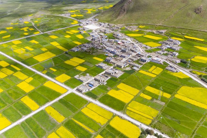 航拍道布龍村，依山傍水，阡陌縱橫。