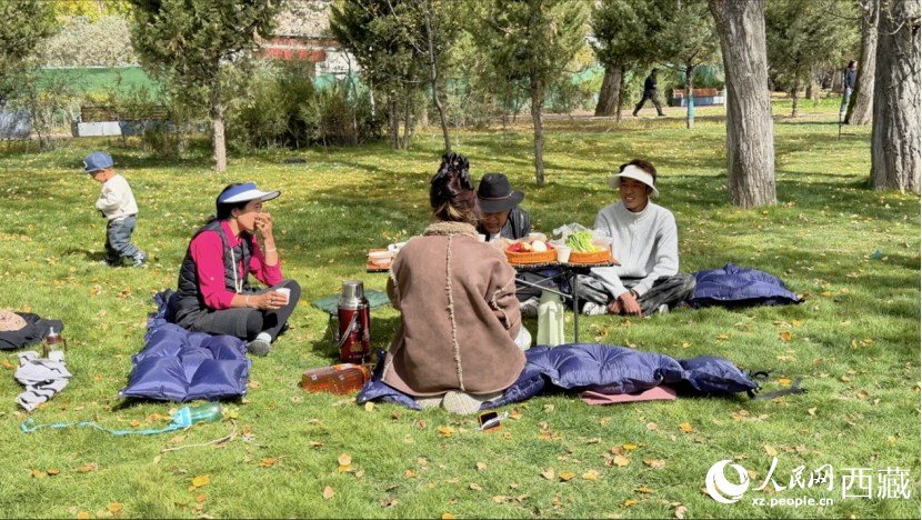 圖為市民在公園內(nèi)聚會。人民網(wǎng)記者 次仁羅布攝