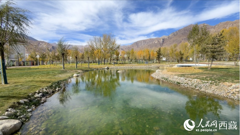 圖為青年林卡公園。人民網(wǎng)記者 次仁羅布攝