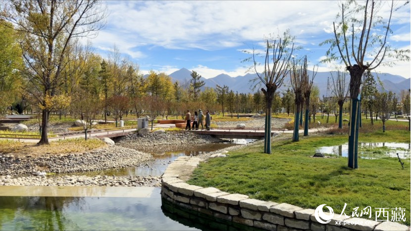 圖為青年林卡公園。人民網(wǎng)記者 次仁羅布攝