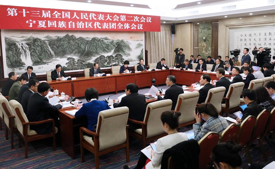 （兩會(huì)）（2）寧夏代表團(tuán)全體會(huì)議向媒體開放