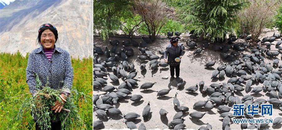 （脫貧攻堅(jiān)·圖片故事）（7）藏東大地脫貧影像