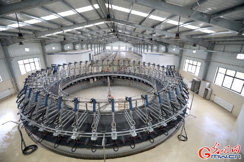 【幸?；ㄩ_新邊疆】大力發(fā)展西藏隆子縣特色產(chǎn)業(yè) 堅決打贏脫貧攻堅戰(zhàn)