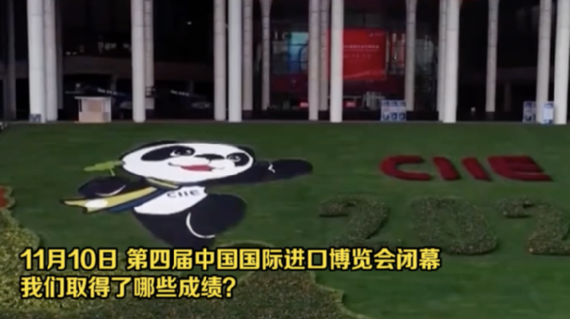 從進(jìn)博會(huì)看入世20年 這份成績(jī)單請(qǐng)收好！