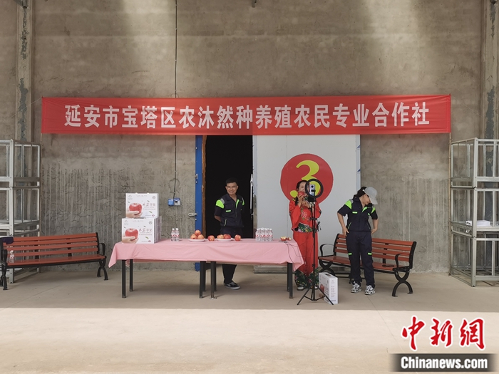 來(lái)源：柳林鎮(zhèn)果技園供圖。