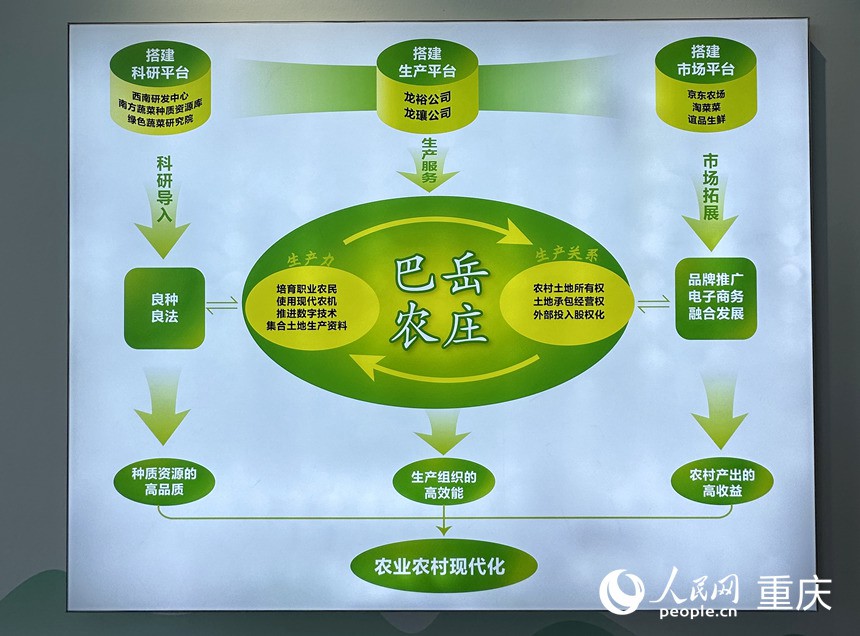 “巴岳農(nóng)莊”運(yùn)作示意圖。人民網(wǎng)記者 劉政寧攝