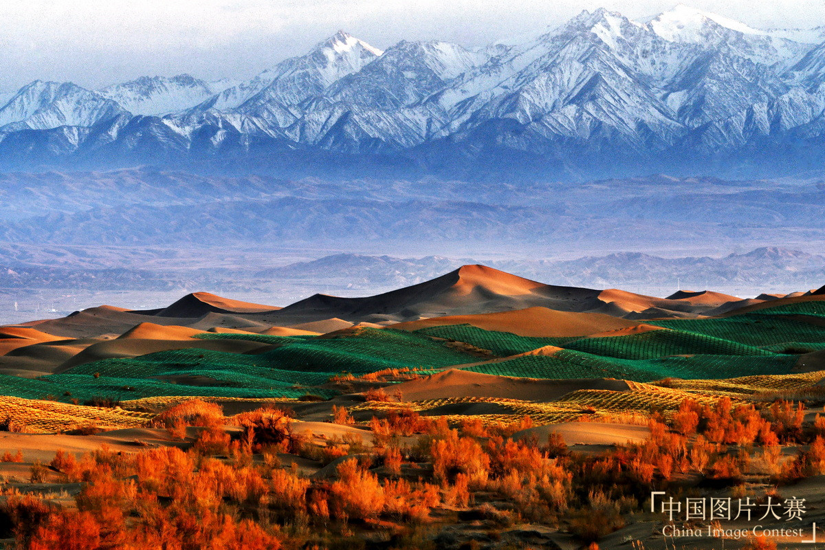 誓擋“黃龍” 綠富同興