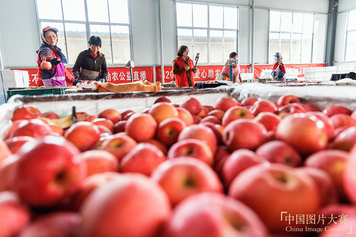 公益直播 愛心助農(nóng)致富路