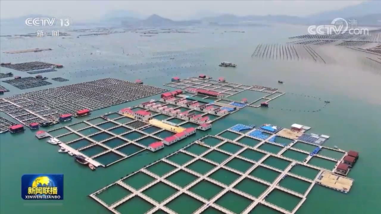 【走進縣城看發(fā)展】福建霞浦：做強海洋經(jīng)濟 實現(xiàn)綠色發(fā)展