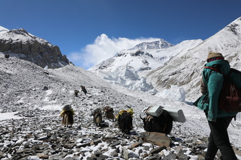 中國(guó)移動(dòng)